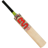 Cricket Bat BABER 222 FRONT